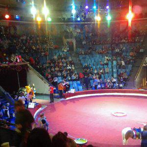 Circus красноярск