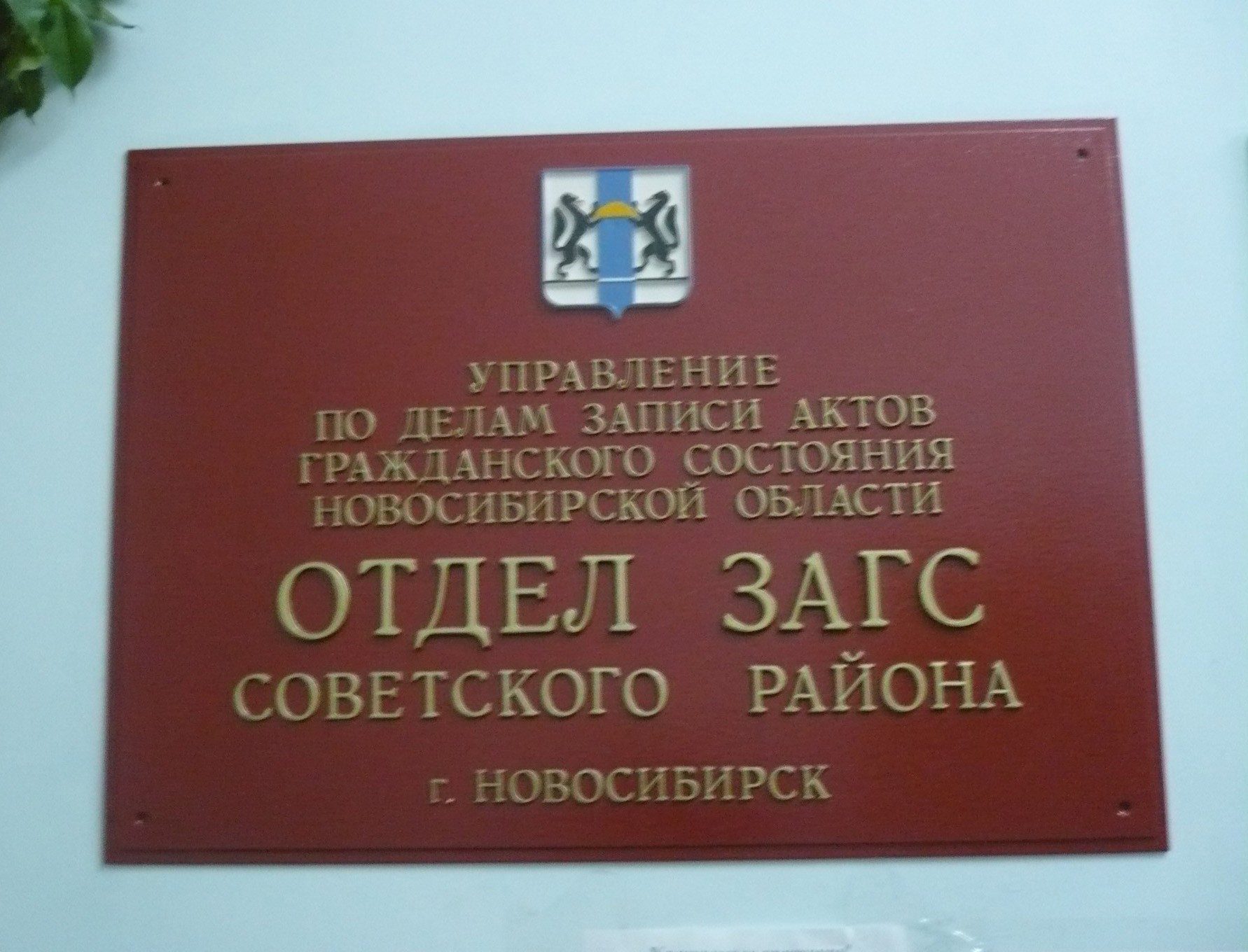 Где находится архив загсов. Отделение ЗАГС. Отдел ЗАГС вывеска.