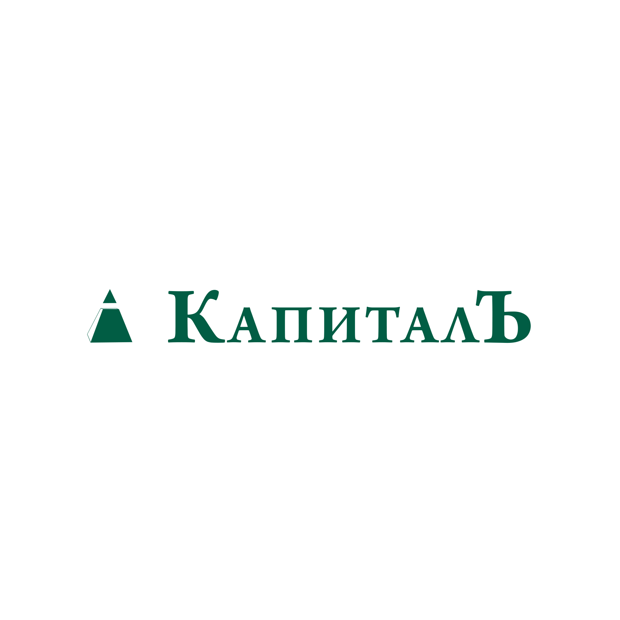 Капитал хотел. Капитал компании это. Капитал Иваново. ООО компания капитал Омск. Фото продукции капитал компании.