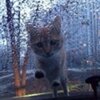Осипов Даниил
