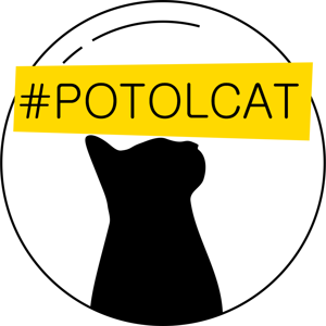 Potolcat