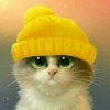 Котейка в жёлтой шапке