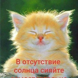 Полина