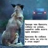 Roja Roja