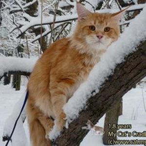 Татьяна Ххх