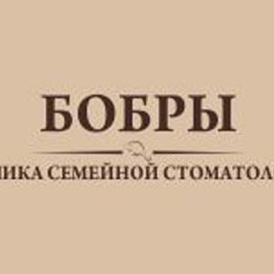 Бобры