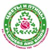 Цветы и птицы
