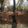 kuznecov_maxim