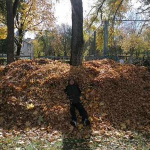 kuznecov_maxim