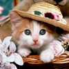 Оксаночка Бржезинская