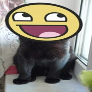 Кирилл Березин