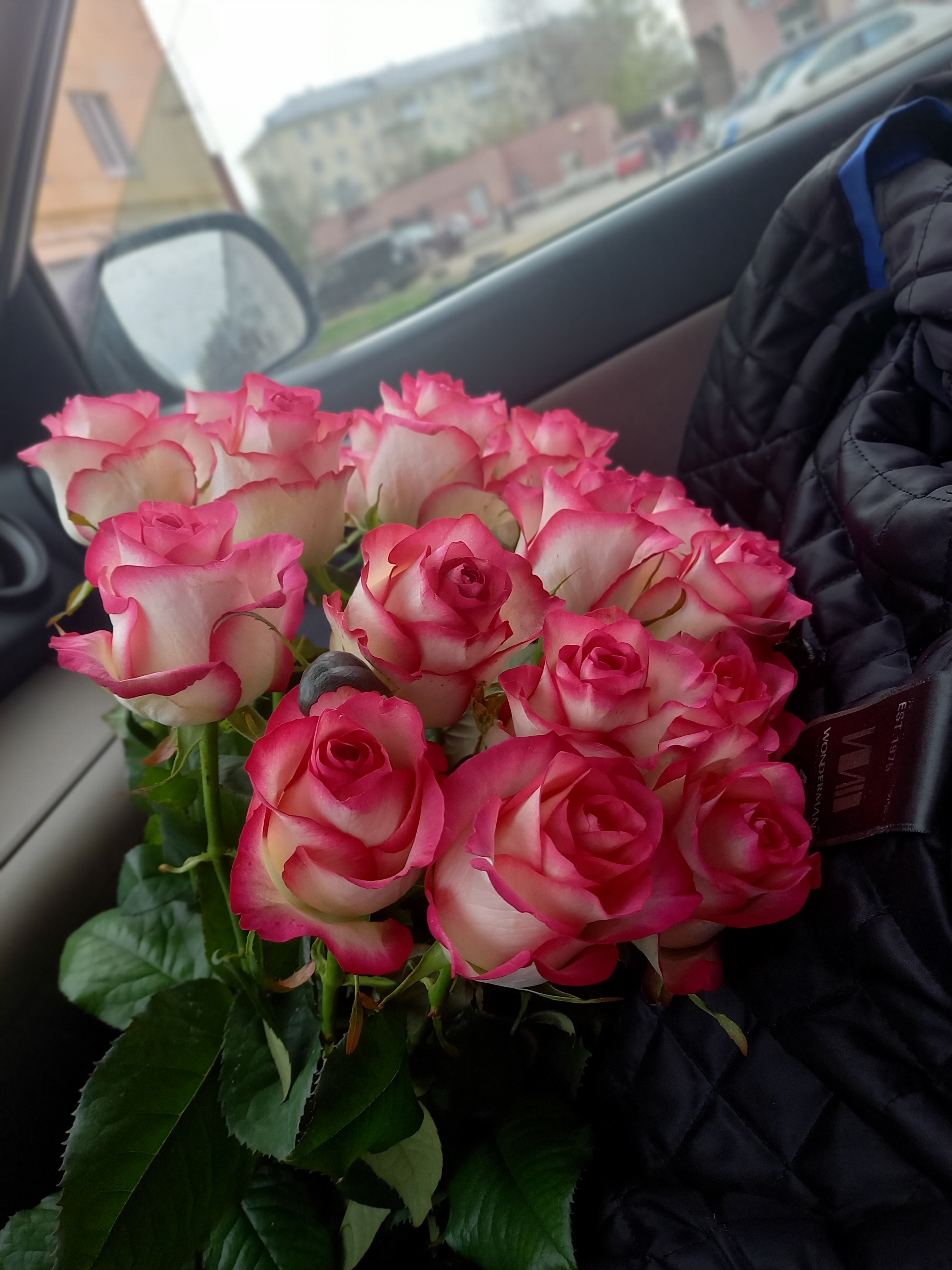 Фото цветы в машине
