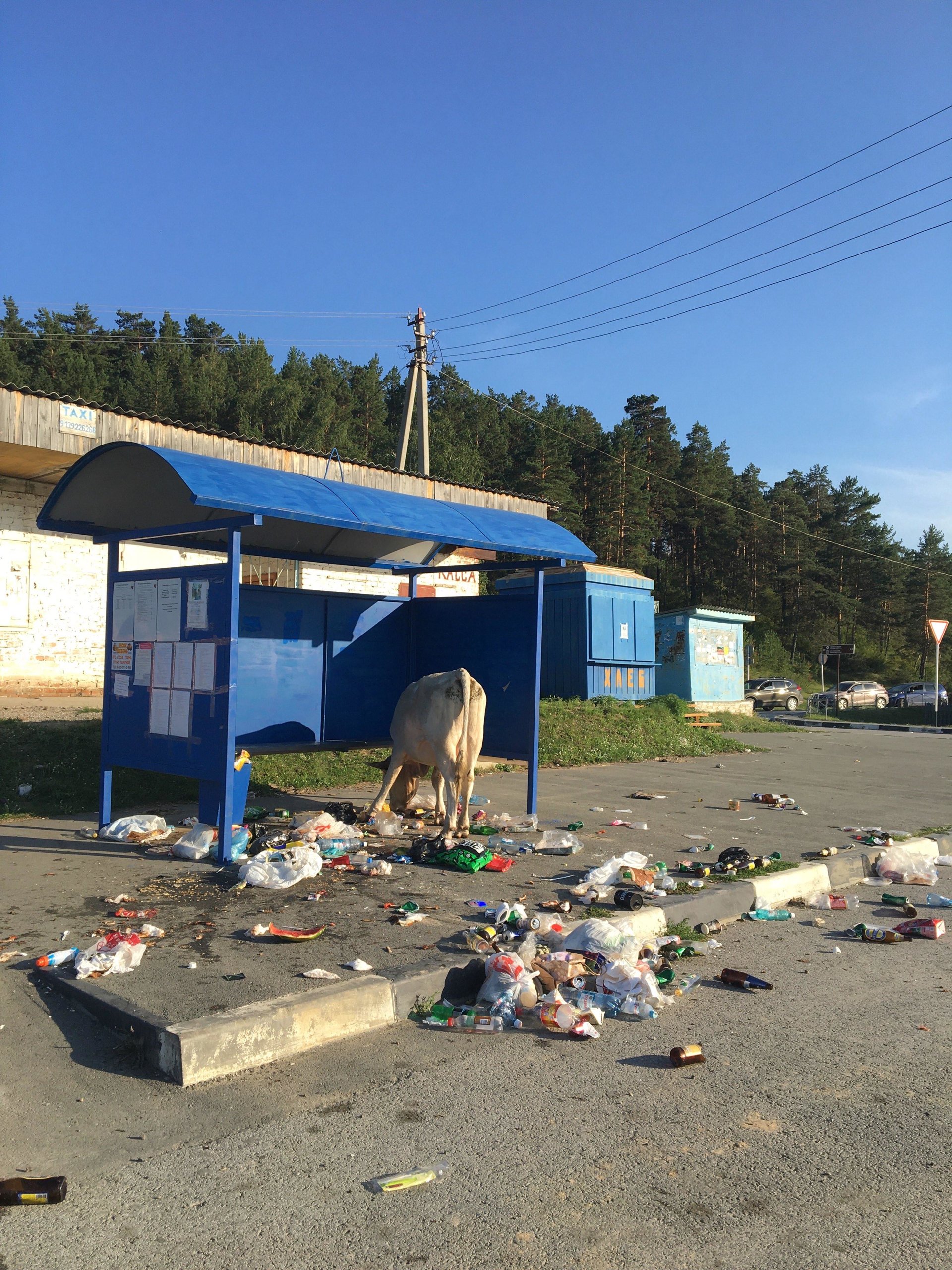 Касса паромной переправы, Красная Горка, 1/1, с. Нижнекаменка — 2ГИС