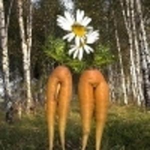 Олег Никифоров