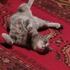 Жанна Исмаилова