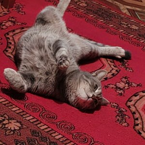 Жанна Исмаилова