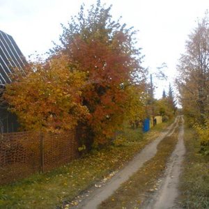 Sergey Ilyin