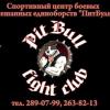 Fight Club PitBull