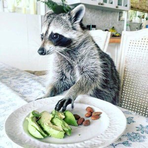 tasty tasty