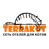 Terrakot
