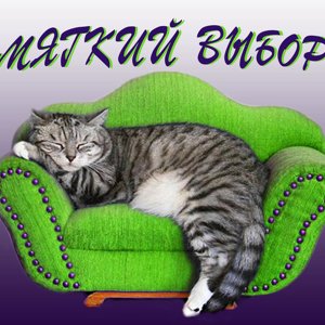 m.vibor22