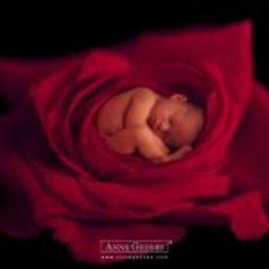 Катерина Катина