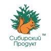 Алтайский кедр