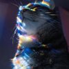 Костя