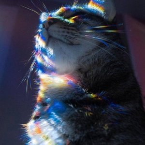 Костя