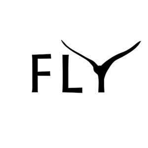 Fly