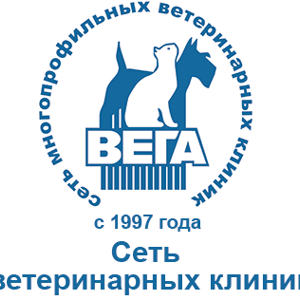 Вега