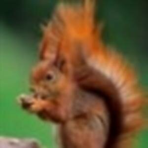 Вадим Стретинский