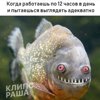Жесть