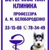 Ветеринарная клиника профессора А.М. Белобороденко