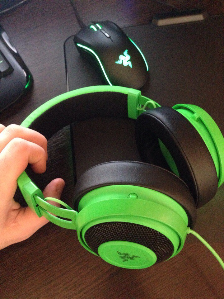 Razer аксессуары. Накладные уши Razer. Razer с ушками голубые. Взрослый Рейзор с ушами.