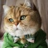 Евдокия