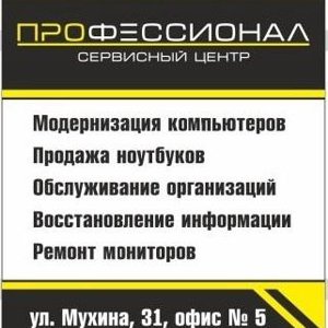 Профессионал