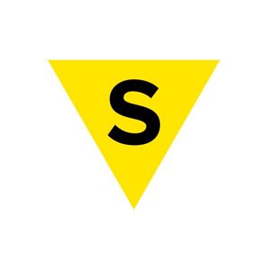 Saccade