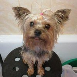 Екатерина Плохих