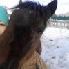 Виктория Алексеева