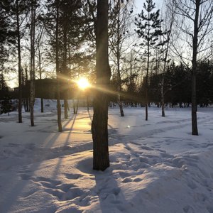 Innaemelya41
