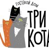 Три кота