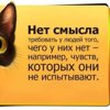 Катя Ерахтена