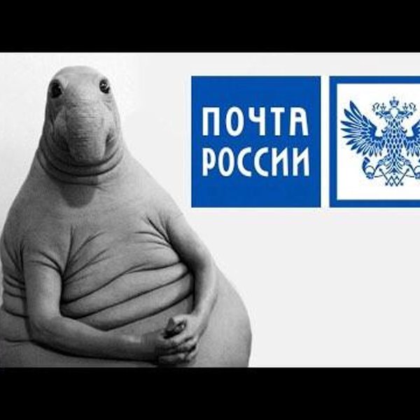 Ждун почта россии фото