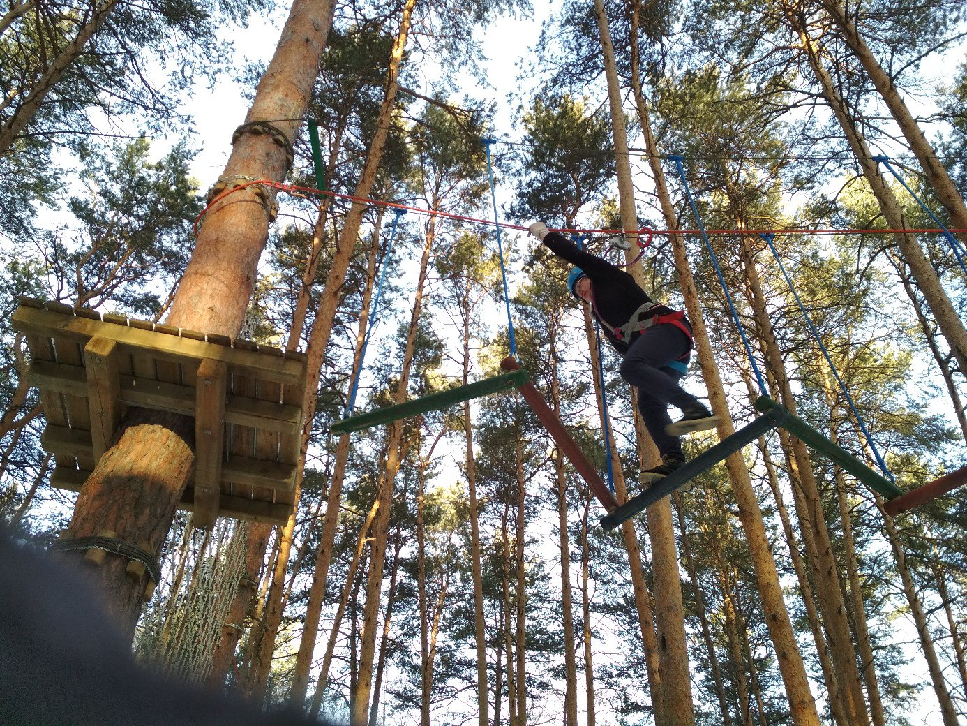 Секвойя парк екатеринбург фото