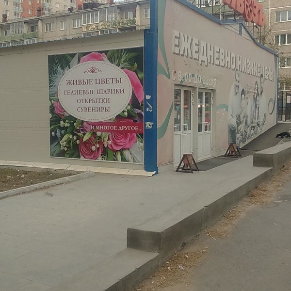 Забайкальский Привоз Сеть Магазинов Официальный Сайт