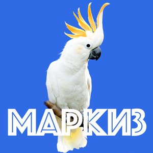 Маркиз