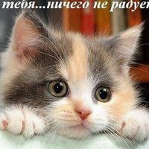 Ирина Беляева