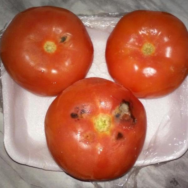 На первый взгляд хорошие, крупные, спелые помидоры... Переворачиваем и... та-даааам!