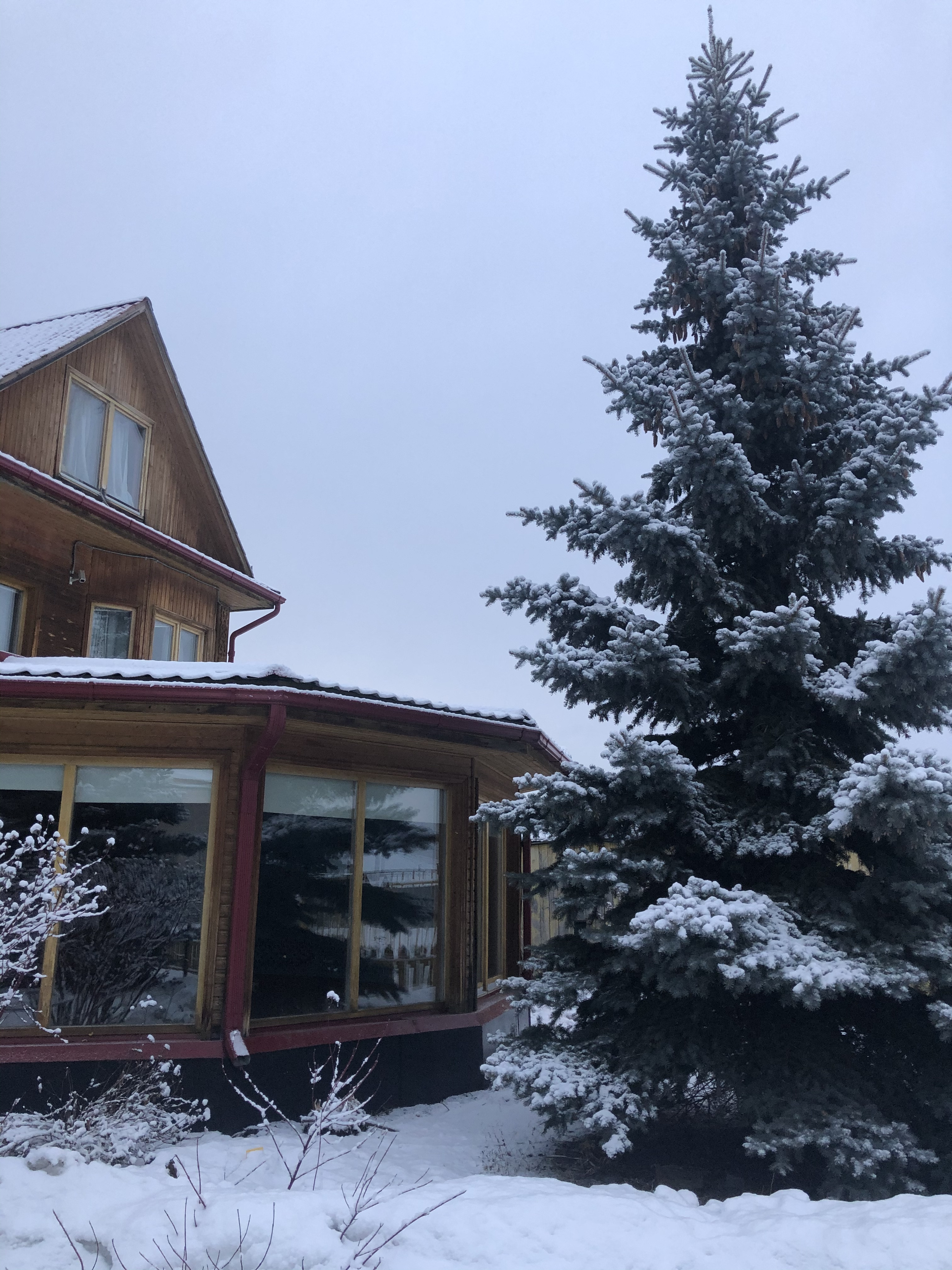 Здрава дача: отзыв от Elena Spirina